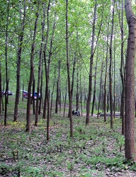 kankyouimg4.jpg