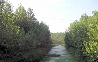 kankyouimg5.jpg
