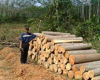 kankyouimg9.jpg
