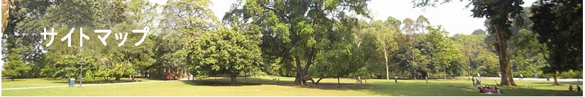 uni-r0011449.jpg