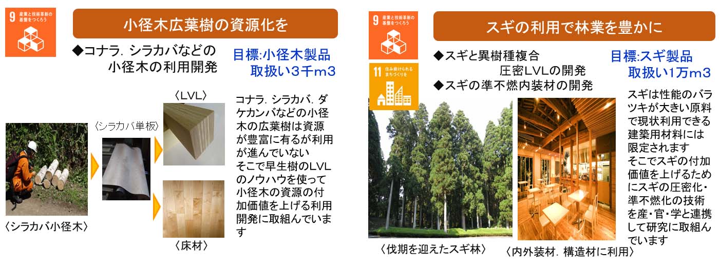 ＳＤＧｓの活動体制と役割