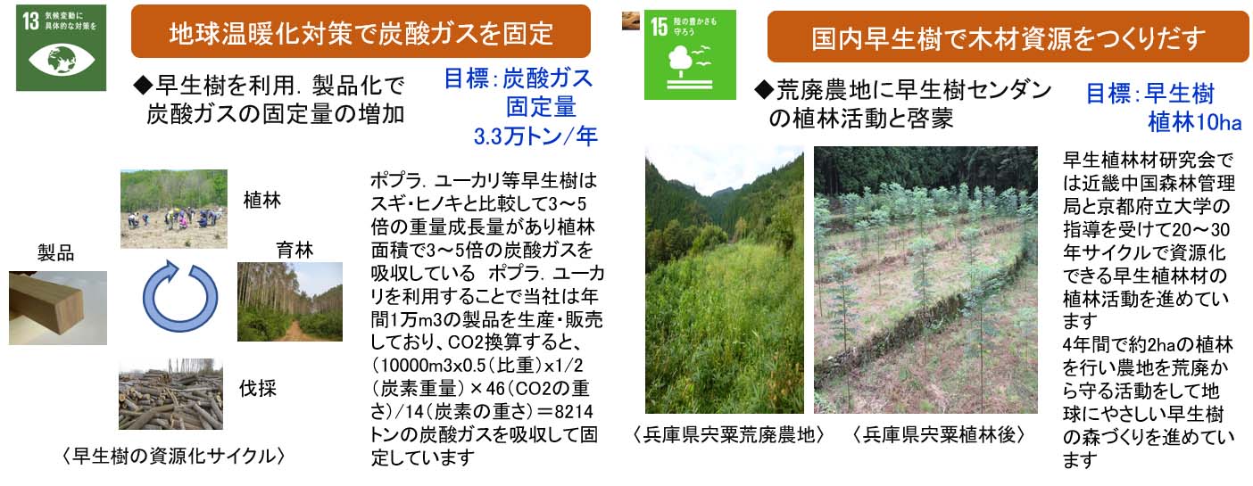 ＳＤＧｓの活動体制と役割